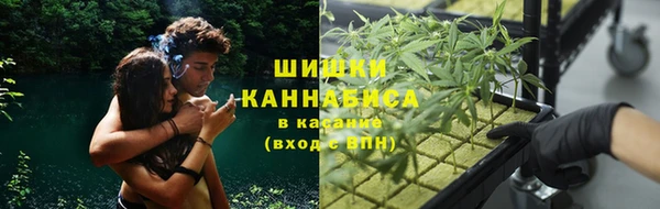 гашик Белокуриха