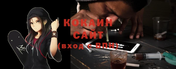 гашик Белокуриха