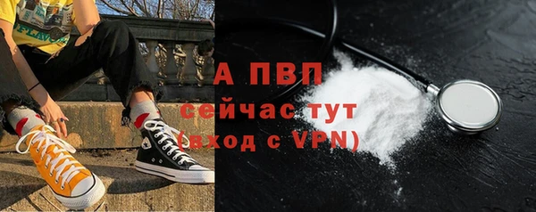 гашик Белокуриха